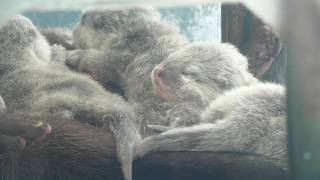 TOBA AQUARIUM (July 17, 2022)