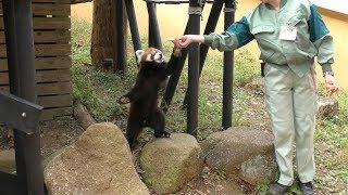 千葉市動物公園 (2018年10月20日)