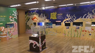 相模川ふれあい科学館・特別企画展「もぐる！展」 (2018年11月30日)