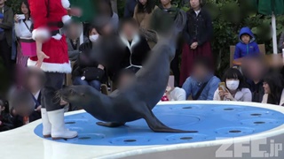 サンシャイン水族館 (2017年11月12日)