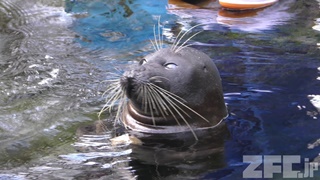 箱根園水族館 (2018年10月28日)