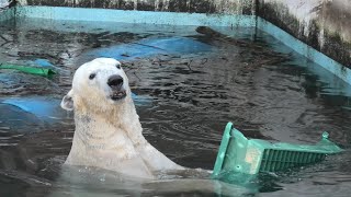 天王寺動物園 (2021年2月6日)