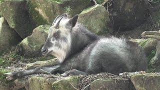 神戸市立森林植物園 (2020年10月20日)