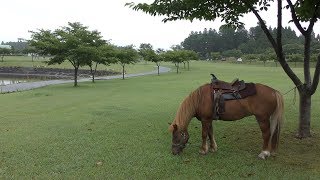 斗南藩記念観光村 (2019年8月10日)