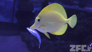 すみだ水族館 (2018年7月4日)