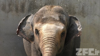 甲府市遊亀公園付属動物園 (2018年9月23日)