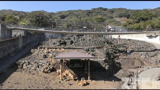 東京都立大島公園 動物園 (2018年3月3日)