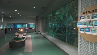 Fukuyama University Marine Bio-Center Aquarium (December 26, 2019)