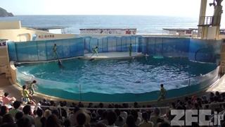 新江ノ島水族館 (2018年8月26日)