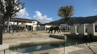 京都市動物園 (2021年10月8日)
