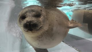 海遊館 (2021年10月1日)