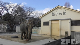 姫路市立動物園 (2019年2月16日)
