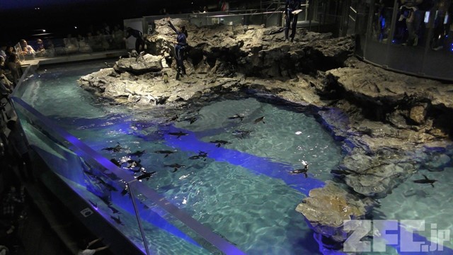 すみだ水族館