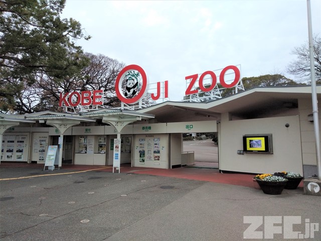 王子動物園