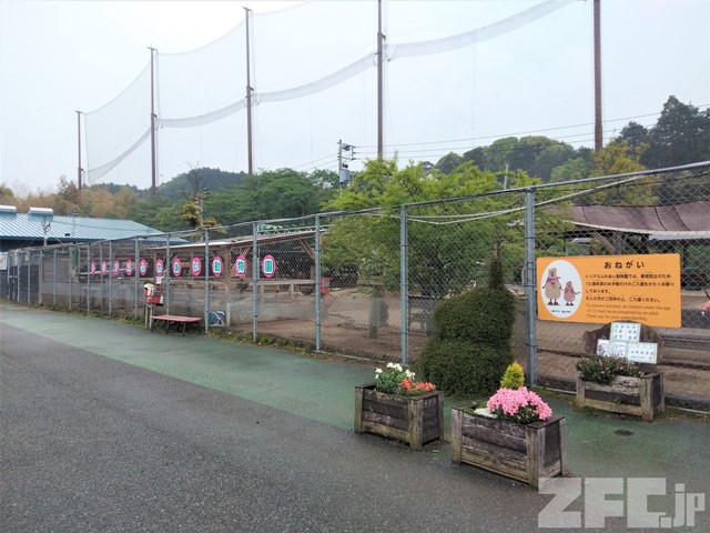 Torius Friendly Zoo