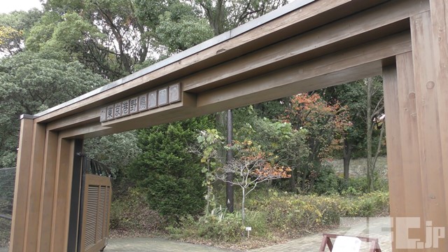 Tokyo Port Wild Bird Park