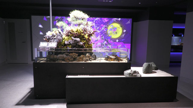 SMART AQUARiUM SHIZUOKA